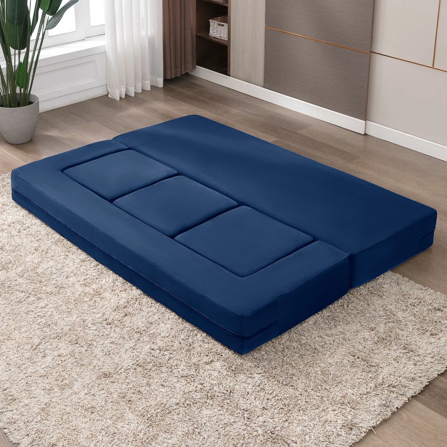 A Folding Bed Couch, Sleeper  Sofa Bed