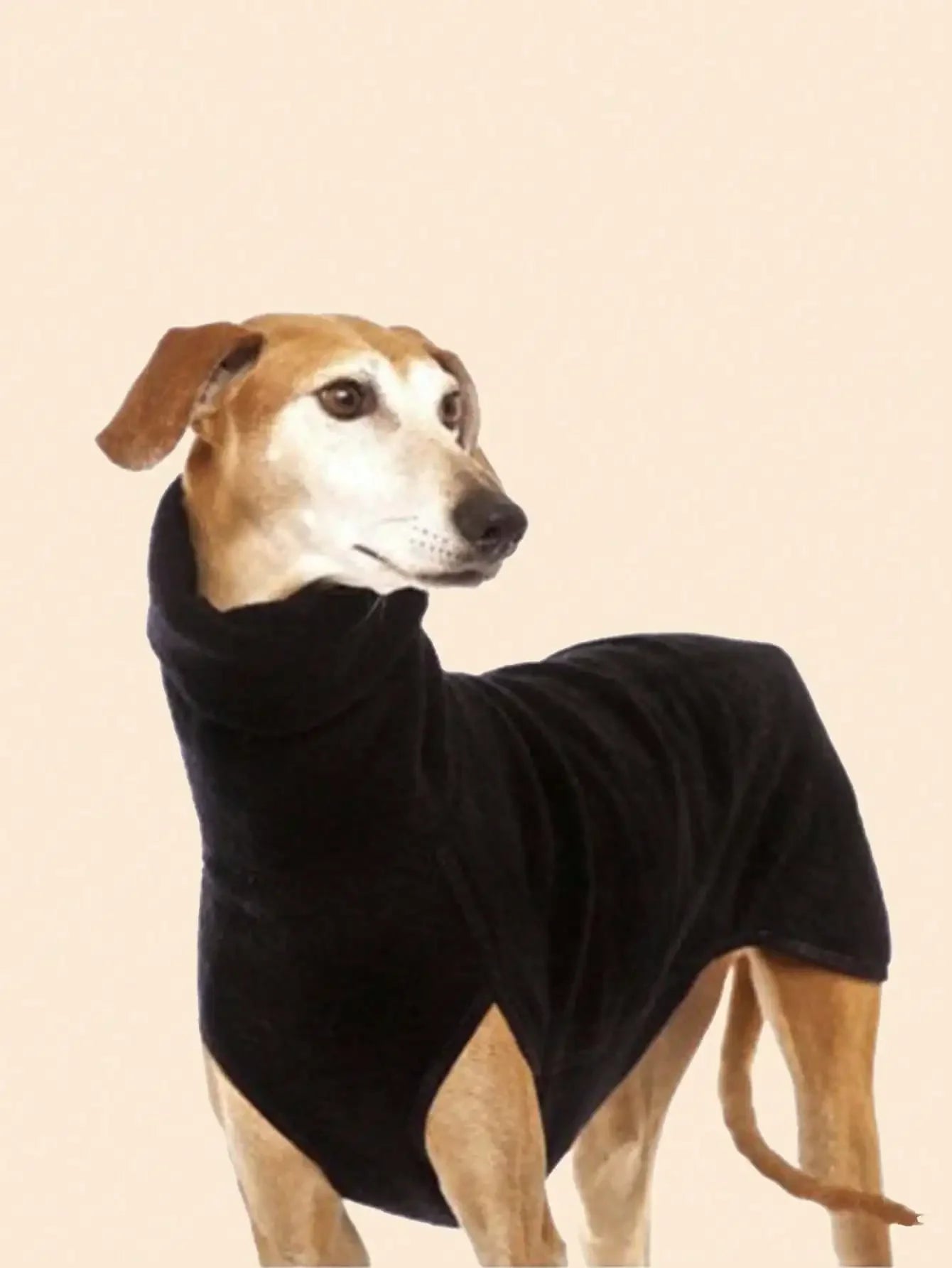 Greyhound  Dog Winter Coat Pajamas